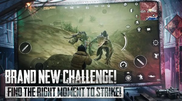 费pubgak直装pg电子试玩网站免