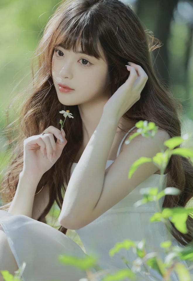 版雍正宠肉系统nhpg电子模拟器免费(图1)